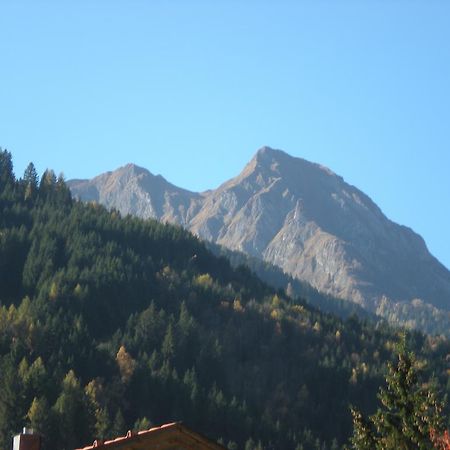 Apartamento Haus Zerza Dorfgastein Exterior foto